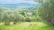 Vente Maison Allerona  1300 m2 10 pieces Italie