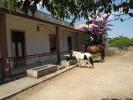 Vente Maison Ari  Italie