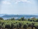 Vente Terrain Asciano 32767 m2 Italie
