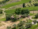 Vente Terrain Asciano 32767 m2 Italie