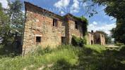 Vente Maison Asciano  340 m2 6 pieces Italie