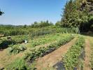 Vente Maison Avaglio  213 m2 7 pieces Italie