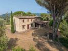 Vente Maison Bibbona 250 m2 Italie