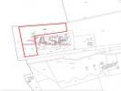 Vente Terrain Bibbona  6900 m2 Italie