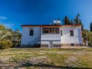 Vente Maison Campiglia-marittima  290 m2 Italie