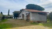 Vente Maison Capalbio  Italie