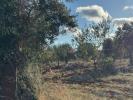 Vente Terrain Carovigno  11173 m2 Italie