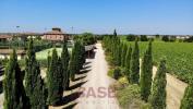 Vente Maison Castagneto-carducci  600 m2 24 pieces Italie