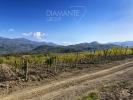 Vente Maison Castel-del-piano  32767 m2 Italie