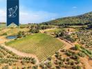 Vente Maison Castellina-in-chianti  4200 m2 31 pieces Italie