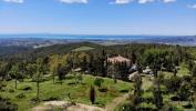 Vente Maison Castellina-marittima  335 m2 15 pieces Italie
