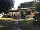 Vente Maison Castiglione-del-lago  8325 m2 8 pieces Italie
