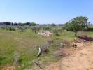 Vente Terrain Cecina  90 m2 4 pieces Italie
