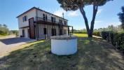 Vente Maison Cecina  980 m2 8 pieces Italie