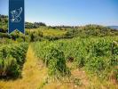 Vente Maison Certaldo 3400 m2 15 pieces Italie