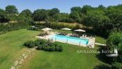 Vente Maison Cinigiano 1040 m2 Italie