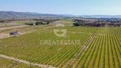 Vente Maison Cortona Italie