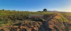 Vente Terrain Erice 23000 m2 Italie