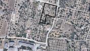Vente Terrain Erice 4800 m2 Italie