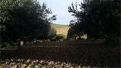 Vente Terrain Erice 2000 m2 Italie