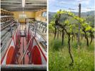 Vente Terrain Gaiole-in-chianti 32767 m2 Italie