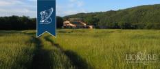 Vente Maison Grosseto 900 m2 5 pieces Italie