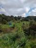 Vente Maison Luras 32767 m2 Italie