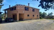 Vente Maison Magliano-in-toscana 450 m2 7 pieces Italie