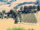 Vente Maison Magliano-in-toscana  250 m2 Italie