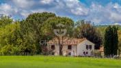 Vente Maison Manciano  Italie