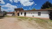 Vente Maison Massa-marittima 700 m2 24 pieces Italie