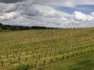 Vente Maison Montepulciano Italie