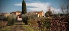 Vente Terrain Montepulciano  32767 m2 Italie