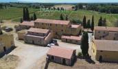 Vente Maison Montescudaio  7000 m2 80 pieces Italie