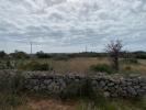 Vente Terrain Morciano-di-leuca  7194 m2 Italie