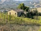 Vente Maison Offida 180 m2 Italie