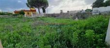 Vente Terrain Paceco 1200 m2 Italie