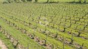 Vente Maison San-gimignano Italie