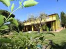 Vente Maison San-vincenzo  274 m2 Italie