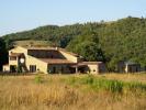Vente Maison Scansano 750 m2 Italie