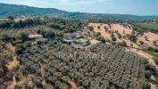 Vente Maison Scansano  Italie