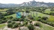 Vente Terrain Telti  32767 m2 Italie