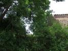 Vente Maison Trecastagni  250 m2 Italie
