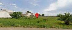 Vente Terrain Ugento  800 m2 Italie