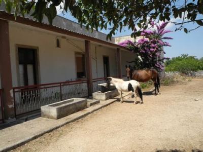 Vente Maison ARI 66010
