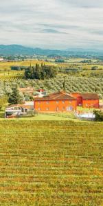 Vente Maison BRUCIANESI 50055