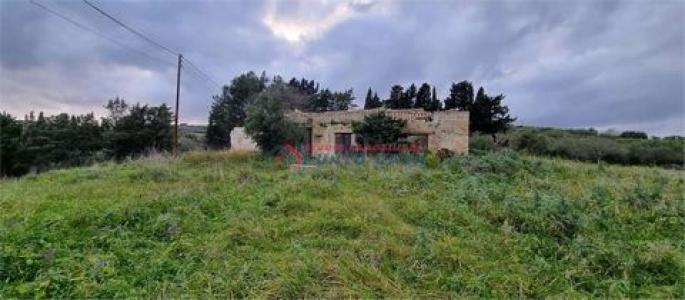 Vente Terrain BUSETO-PALIZZOLO 91012
