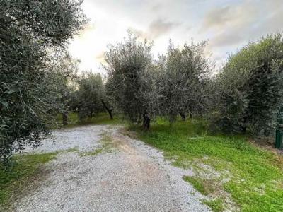 Vente Appartement CASTAGNETO-CARDUCCI 57022