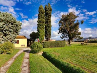 Vente Maison 3 pices CASTAGNETO-CARDUCCI 57022