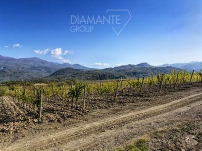 Vente Maison CASTEL-DEL-PIANO 58033